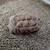 Sulcata Turtle 3 thumbnail