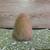 Holland Lop Rabbit 5 thumbnail