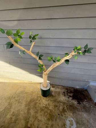 CAT SCRATCHING TREE 1