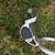 VERY RARE!! DAHON Double Stand (EXCELLENT) 6 thumbnail