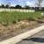 Altaraza Avida Settings SJDM vacant lot 1 thumbnail