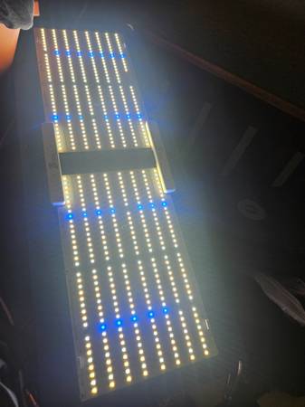 Vegetation grow light, horticultural Lighting group 1