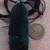 106927 VS Certified Jadeite Jade Black Green pendant Kwan Yin Guanyin 9 thumbnail