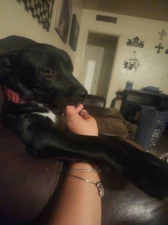 Found lab64014696731777120