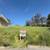 Buildable lot in San Jose! 13,000 sq ft El Grande Dr, Power, Water,Gas 3 thumbnail