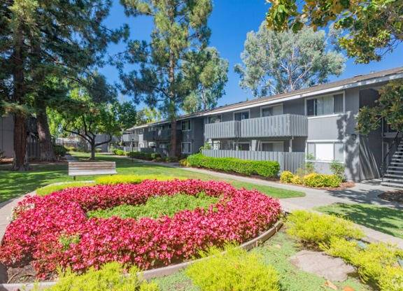 $2,295 / 1br - 660ft2 - Pet-Friendly Living with Great Amenities at Cherrywood (san jose south)63851965611137122