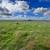 30 Acres in north Bakersfield for sale or lease - Seller Finance 11 thumbnail