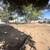 Empty lot for rent 2 thumbnail