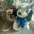 Plush Teddy Bear Large 1 thumbnail