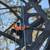🔷MORELOS TREE Specialist, Removal, Trimming, Stump. Dependable🔷 14 thumbnail