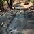 TINY HOUSE/RV LAND LEASE AVAILABLE 3 thumbnail