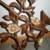 Vintage Syroco Wall Décor 2 piece set 5 thumbnail