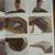 *WATERFOWL PAINTING. Blue Ribbon Technique. by William Veasey. AS NEW. 4 thumbnail