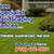 🔷AMIGO Tree Specialist, Landscaping, Fences, more. Reliable🔷 1 thumbnail
