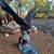 Antique Metal Eagle catching a fish sculpture statue 1 thumbnail
