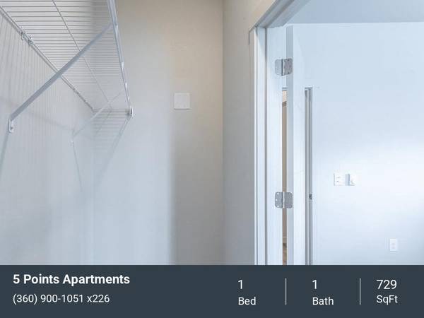 $1,706 / 1br - 729ft2 - Spacious Living with Walk-In Closets at 5 Points (Fircrest)64039058639105122
