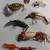 Vintage Tacklebox Loaded with Lures 10 thumbnail