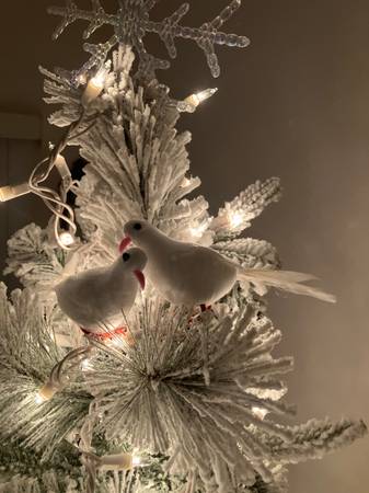 Temp housing condo share 1