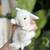 Holland Lop Bunny Rabbit 7 thumbnail