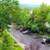 Cornell Collegetown huge 2 bed with a study apartment for rent 7 thumbnail