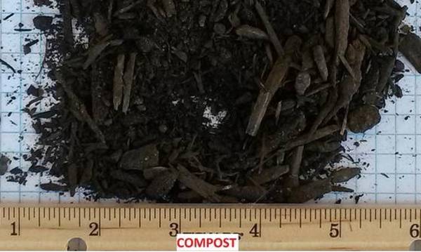 Enriched Organic Compost 1