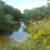Ranch for Sale 2678 ac in Mexico, near Border Great Hunting Negotiable 1 thumbnail