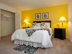 $1,750 / 2br - 890ft2 - Apartamentos de 2 habitaciones y 1.5 baños! (Takoma Park)63822290249219124