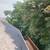 Tree cutting services 6 thumbnail