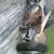 VW Bug front beam axle 1 thumbnail