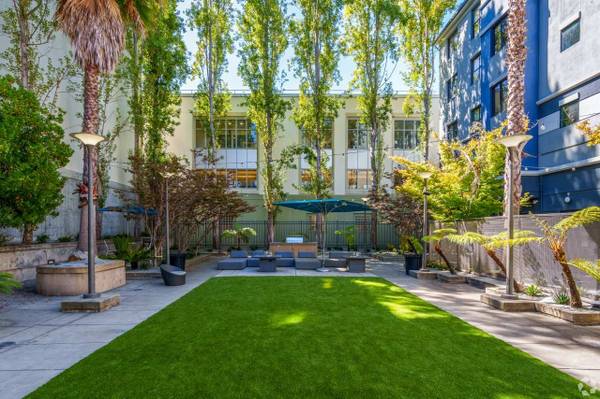 $3,346 / 2br - In Berkeley, 9-Foot Ceilings, 2 BD (berkeley)63813534286849124