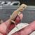 Bearded Dragon Baby's 13 thumbnail