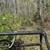 FORESTRY MULCHING 5 thumbnail
