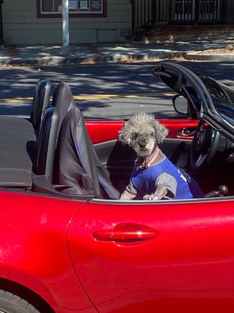 Mazda Miata inmaculate only 17,000 miles! 1