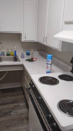 $300 / 1br - Buscando compañera de cuarto femenina para una comunidad de vida asistida (Bryan)63806704959105123