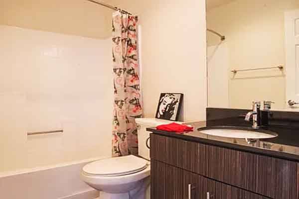 $950 / 2br - 950ft2 - 🌸Very nice remodeled 2 bedroom 2 bath Apt🌟 (Los Angeles, CA)63700996850177123