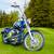 2006 Speco Custom Chopper REVTECH 100CI 100HP only 550Miles! 5 thumbnail