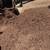 Landscaping & Maintenance services 10 thumbnail