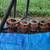 Conduit dies for threading elect/plumbing  & three leg stand/vice 2 thumbnail