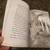 Disney The Never Girls: In a Blink and My Never Land Journal 8 thumbnail