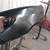 2002-06 Toyota Camry NEW LH Driver Side Fender 5 thumbnail