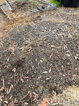 Organic goat manure - $8 (Hemet)63471082637185123