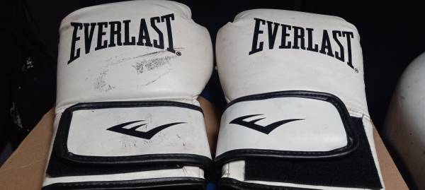Everlast Core 2 Training Gloves 1