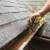 🌧️ Gutter Cleaning – Best Prices in Chicagoland! 🌧️ 5 thumbnail