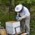 Beekeeper Assistant/Trainee Volunteer at Small Home Apiary 8 thumbnail