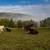 LOG-SIDED VILLA FOR RENT IN SPRING MILLS, PA 7 thumbnail