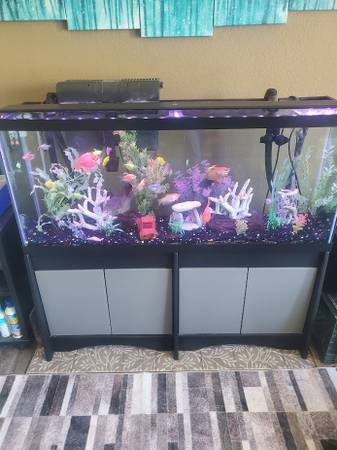 55 Gal With all accessories as shown Including all fish 1