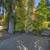Private Eaglecrest Garden Sanctuary - 1061 Harlequin Rd 24 thumbnail