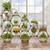 Firm Price! Brand New in a Box Wooden Plant Stand, READ THE AD! 1 thumbnail