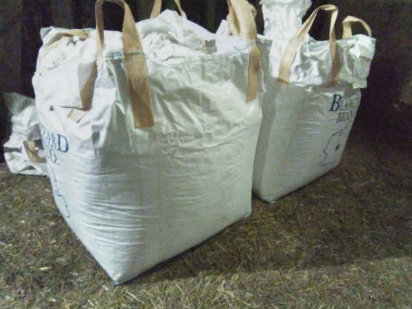 Triticale cleaned, feed or plant 1