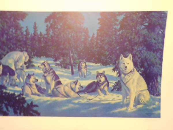Moonlit Stakeout-- Musher and Team-- Machetanz Print 1